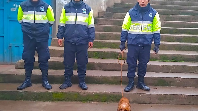 Nota informativa sobre el rescate de un perro atrapado en el río Ichu por parte de serenos del distrito de Ascensión.