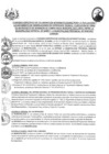 Vista preliminar de documento CONV002-2025