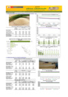 Vista preliminar de documento Boletín de abastecimiento y precio del ARROZ - 18/03/2025