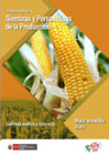 Vista preliminar de documento Observatorio perspecivas producción Maiz Amarillo duro-2024