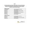 Vista preliminar de documento RM N° 00295-2025-DE (Anexo)