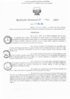 Vista preliminar de documento RD N° 411-2025