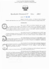 Vista preliminar de documento RD N° 414-2025