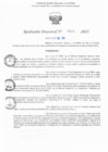 Vista preliminar de documento RD N° 415-2025