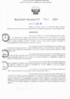 Vista preliminar de documento RD N° 423-2025
