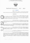 Vista preliminar de documento RD N° 425-2025