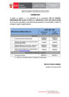 Vista preliminar de documento COMUNICADO 