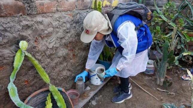 Minsa interviene 5000 viviendas en Villa María del Triunfo para prevenir el dengue