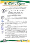 Vista preliminar de documento Ordenanza municipal 005_2025