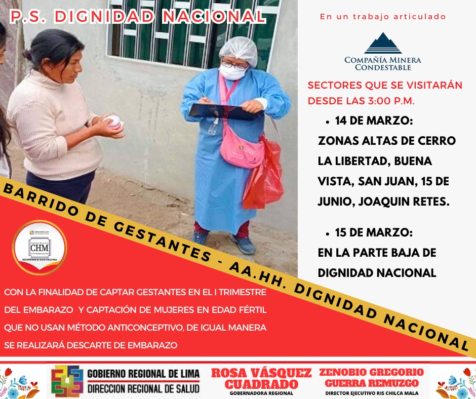 RIS Chilca Mala: Barrido de Gestantes en el AA.HH. Dignidad Nacional de Mala