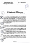Vista preliminar de documento RD N° 207-2023-DG-DIRIS-LC