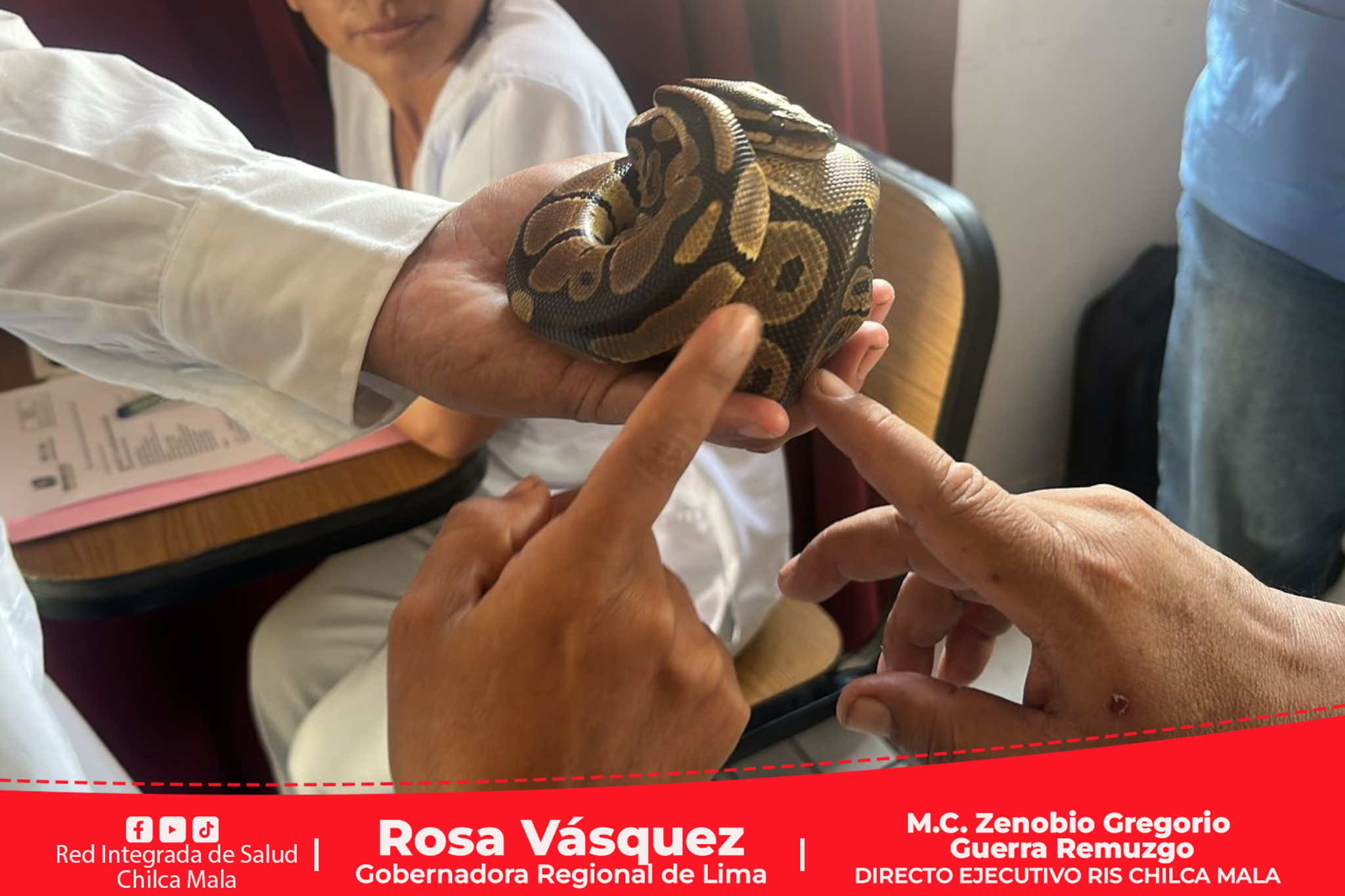 RIS Chilca Mala: Capacitan a personal de salud en Manejo Clínico en Pacientes con Dengue y Leishmaniasis