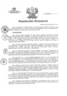 Vista preliminar de documento RD N°060-2025