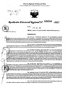 Vista preliminar de documento RDR 0206-2025