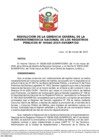 Vista preliminar de documento Resolución de la Gerencia General de la Sunarp n.° 046-2025-SUNARP/GG