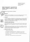 Vista preliminar de documento DIREC N°013-2017-FMP-SISTEMAS
