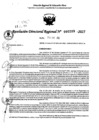 Vista preliminar de documento RDR 0209-2025