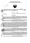 Vista preliminar de documento RDR 0210-2025