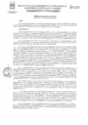 Vista preliminar de documento RESOLUCION N°14-2025-SGDELC-GDESGA-MDP-T