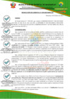 Vista preliminar de documento RG0029-2025