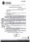 Vista preliminar de documento RA 141-2024
