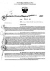 Vista preliminar de documento RDR 0211-2025