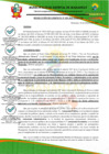 Vista preliminar de documento RG0051-2025