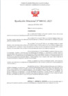 Vista preliminar de documento RD 182-2025 - CONTRA DOC - JULCA BARTOLO AIDE ROSA