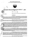 Vista preliminar de documento RDR 0212-2025