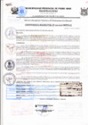 Vista preliminar de documento ORDENANZA MUNICIPAL N001-2015-MPPA-A