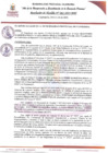 Vista preliminar de documento RAN061-2025
