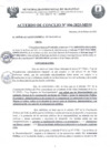 Vista preliminar de documento ACSE0006-2025