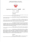 Vista preliminar de documento RD 193-2025 - CONTRA DOC - RAMIREZ PAJUELO CECILIA MIRIAM