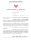 Vista preliminar de documento RD 194-2025 - CONTRA DOC - HUANSHA AQUIÑO DELITA VILMA