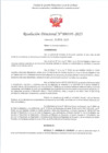 Vista preliminar de documento RD 195-2025 - CONTRA DOC - RODRIGUEZ ARTEAGA SACHI NERY