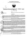 Vista preliminar de documento RDR 0213-2025