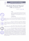 Vista preliminar de documento RDR 095-2025