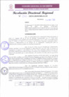 Vista preliminar de documento RDR 097-2025