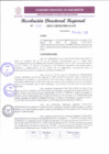 Vista preliminar de documento RDR 098-2025