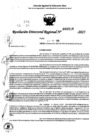 Vista preliminar de documento RDR 0216-2025