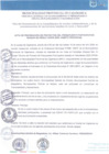 Vista preliminar de documento ACTA DE PRIORIZACIÓN DE PROYECTOS ÁMBITO PROVINCIAL 2025