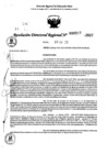 Vista preliminar de documento RDR 0217-2025