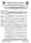 Vista preliminar de documento ORDENANZA MUNICIPAL N° 008-2025-MDLP