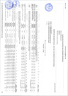 Vista preliminar de documento VALIDACION DE REGISTRO