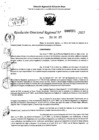 Vista preliminar de documento RDR 0221-2025