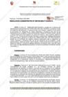 Vista preliminar de documento 155