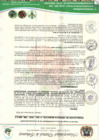 Vista preliminar de documento RESOLUCION DE GERENCIA MUNICIPAL N° 004-2025-GM-MDI