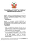 Vista preliminar de documento Resolución de la Dirección Técnica Registral n.° 011-2025-SUNARP/DTR