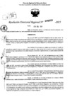 Vista preliminar de documento RDR 0222-2025