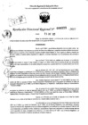 Vista preliminar de documento RDR 0223-2025